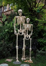 74" Skeleton Alt 3