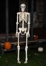 74 Inch Skeleton Decoration