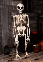 52 Inch Alien Skeleton Decoration