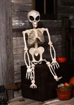 52" Alien Skeleton Decoration Alt 1