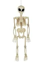 52" Alien Skeleton Decoration Alt 2