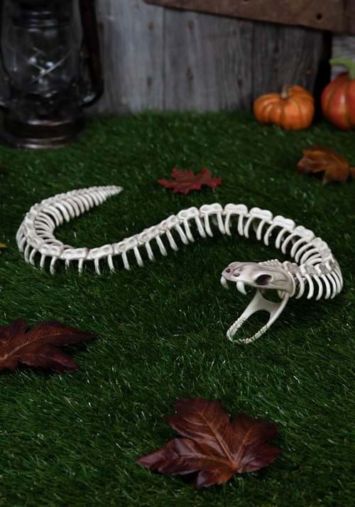 36 Inch Snake Skeleton Decoration