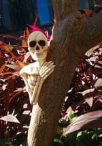 14 Inch Skeleton Tree Peeker Decoration