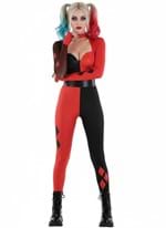 Womens DC Harley Quinn Costume