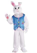 Adult Hop into Spring Easter Bunny Costume