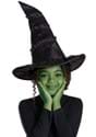 Wicked Elphaba Hat